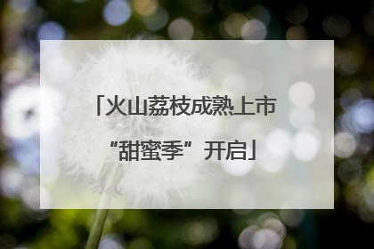 火山荔枝成熟上市 “甜蜜季”开启