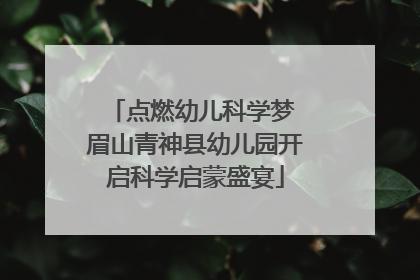 点燃幼儿科学梦 眉山青神县幼儿园开启科学启蒙盛宴