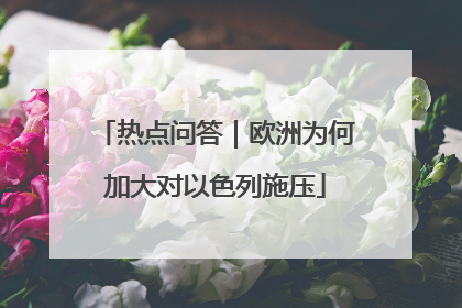 热点问答｜欧洲为何加大对以色列施压