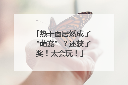 热干面居然成了“萌宠”？还获了奖！太会玩！