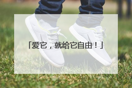 爱它，就给它自由！