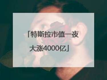 特斯拉市值一夜大涨4000亿