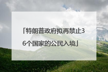 特朗普政府拟再禁止36个国家的公民入境