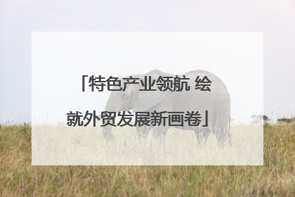 特色产业领航 绘就外贸发展新画卷