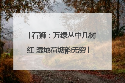 石狮：万绿丛中几树红 湿地荷塘韵无穷