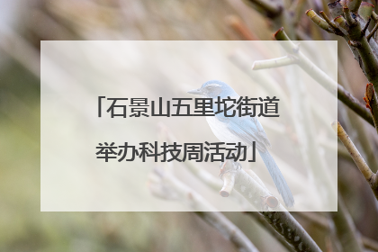 石景山五里坨街道举办科技周活动