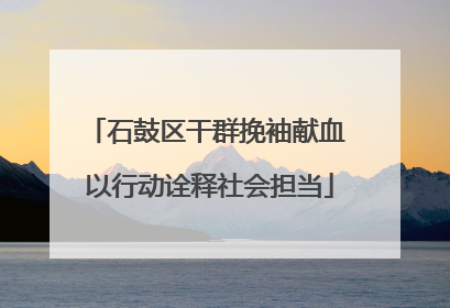 石鼓区干群挽袖献血 以行动诠释社会担当