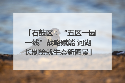 石鼓区：“五区一园一线”战略赋能 河湖长制绘就生态新图景