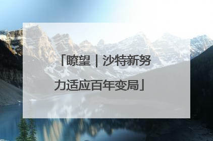 瞭望｜沙特新努力适应百年变局