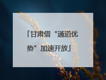 甘肃借“通道优势”加速开放