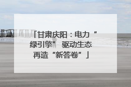 甘肃庆阳：电力“绿引擎” 驱动生态再造“新答卷”