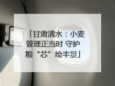 甘肃清水：小麦管理正当时 守护粮“芯”绘丰景