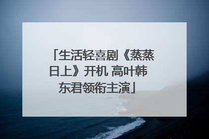 生活轻喜剧《蒸蒸日上》开机 高叶韩东君领衔主演
