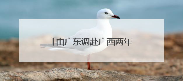 由广东调赴广西两年多后，“85后”张东方当选苍梧县县长