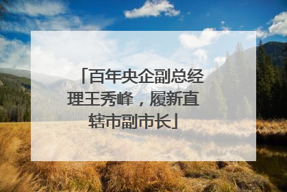 百年央企副总经理王秀峰，履新直辖市副市长