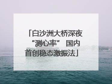 白沙洲大桥深夜“测心率” 国内首创稳态激振法