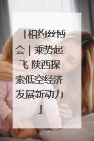 相约丝博会｜乘势起飞 陕西探索低空经济发展新动力