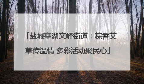 盐城亭湖文峰街道：粽香艾草传温情 多彩活动聚民心