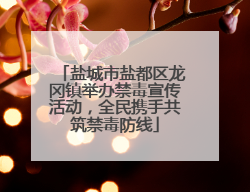 盐城市盐都区龙冈镇举办禁毒宣传活动，全民携手共筑禁毒防线