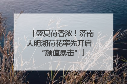 盛夏荷香浓！济南大明湖荷花率先开启“颜值暴击”