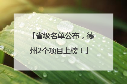 省级名单公布，德州2个项目上榜！