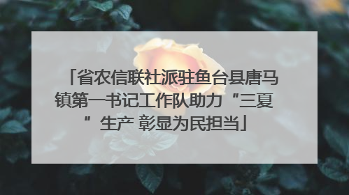 省农信联社派驻鱼台县唐马镇第一书记工作队助力“三夏”生产 彰显为民担当