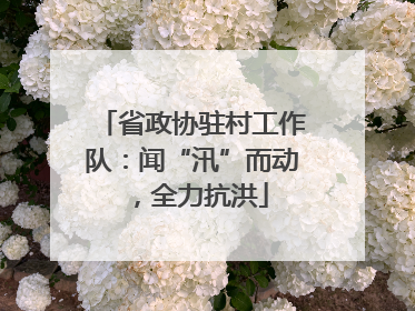省政协驻村工作队：闻“汛”而动，全力抗洪