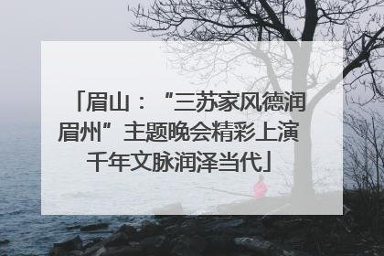 眉山：“三苏家风德润眉州”主题晚会精彩上演千年文脉润泽当代