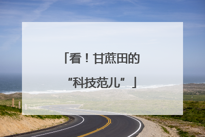 看！甘蔗田的“科技范儿”