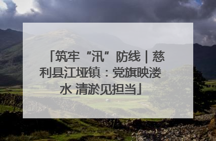 筑牢“汛”防线｜慈利县江垭镇：党旗映溇水 清淤见担当
