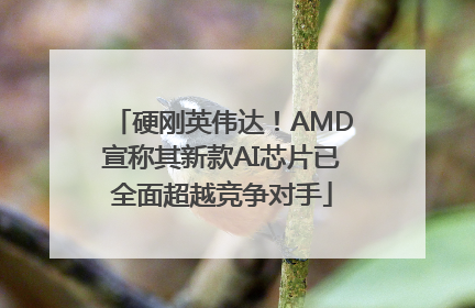硬刚英伟达！AMD宣称其新款AI芯片已全面超越竞争对手