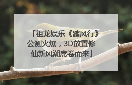 祖龙娱乐《踏风行》公测火爆，3D放置修仙新风潮席卷而来