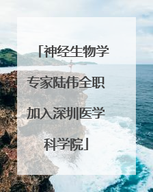 神经生物学专家陆伟全职加入深圳医学科学院