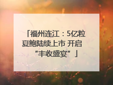 福州连江：5亿粒夏鲍陆续上市 开启“丰收盛宴”