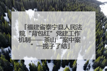福建省泰宁县人民法院“背包红”党建工作机制——茶山“案中案”一揽子了结
