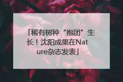 稀有树种“抱团”生长！沈阳成果在Nature杂志发表