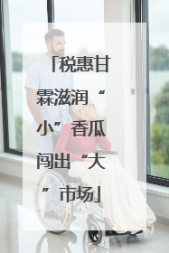 税惠甘霖滋润“小”香瓜闯出“大”市场