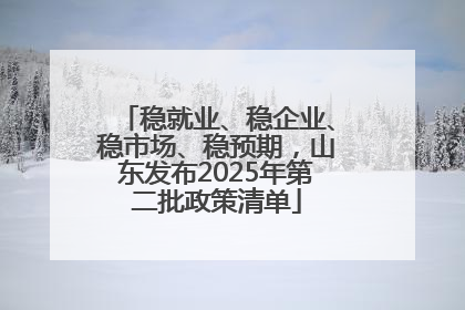 稳就业、稳企业、稳市场、稳预期，山东发布2025年第二批政策清单