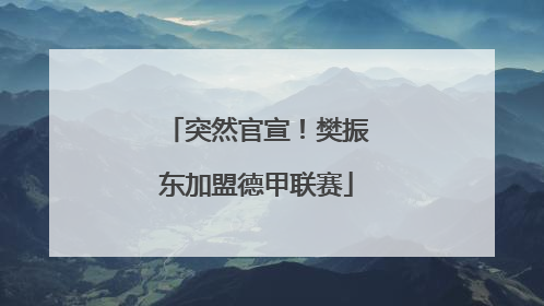 突然官宣！樊振东加盟德甲联赛