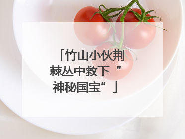 竹山小伙荆棘丛中救下“神秘国宝”