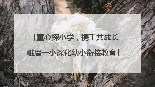 童心探小学，携手共成长 峨眉一小深化幼小衔接教育