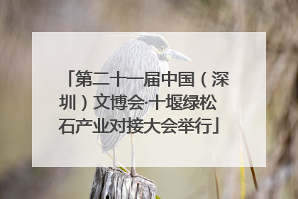 第二十一届中国（深圳）文博会·十堰绿松石产业对接大会举行