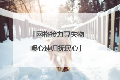 网格接力寻失物 暖心速归抚民心