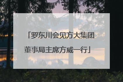罗东川会见方大集团董事局主席方威一行