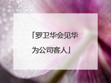 罗卫华会见华为公司客人