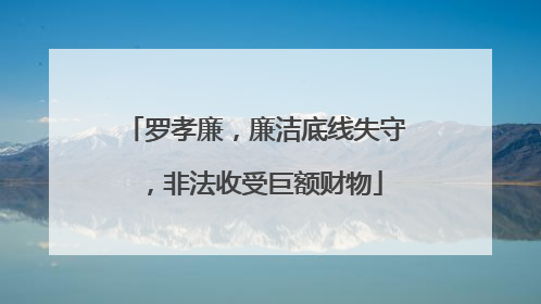 罗孝廉，廉洁底线失守，非法收受巨额财物