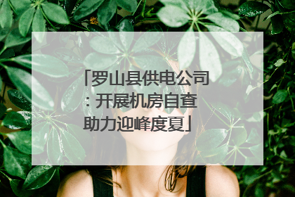 罗山县供电公司：开展机房自查 助力迎峰度夏