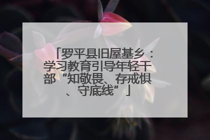 罗平县旧屋基乡：学习教育引导年轻干部“知敬畏、存戒惧、守底线”