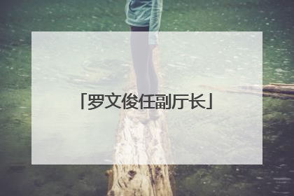 罗文俊任副厅长