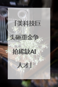 美科技巨头砸重金争抢稀缺AI人才